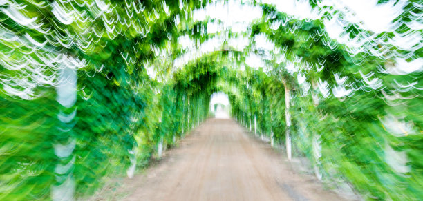 登山步道