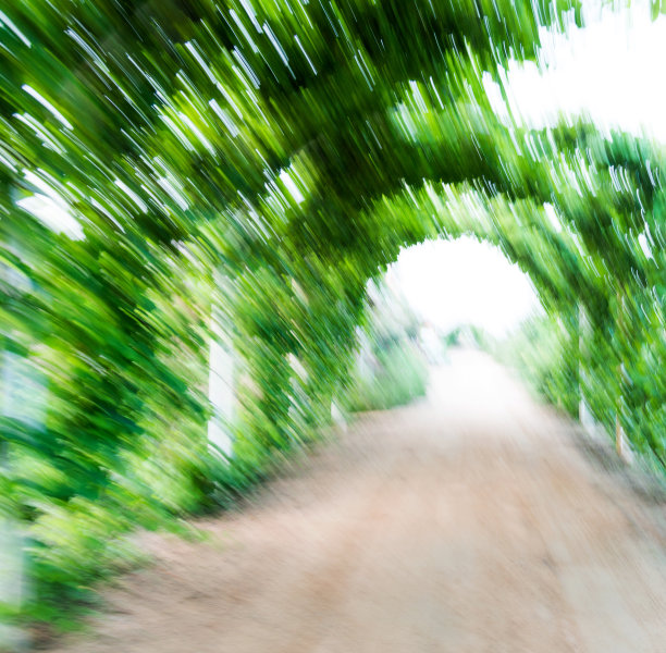 登山步道