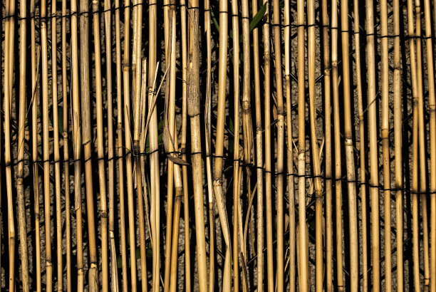 芦苇竹围栏