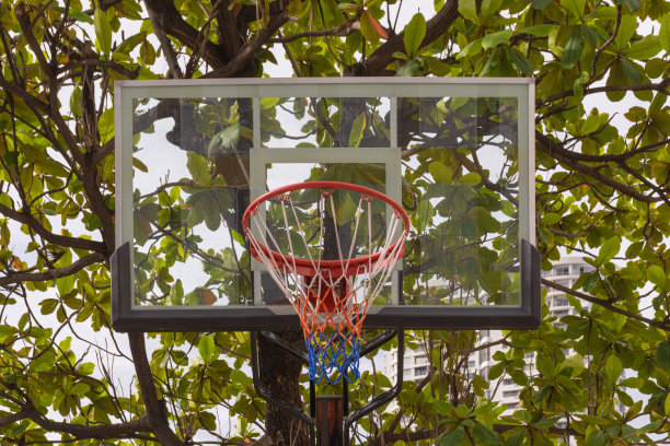 篮球框篮板蓝框图片