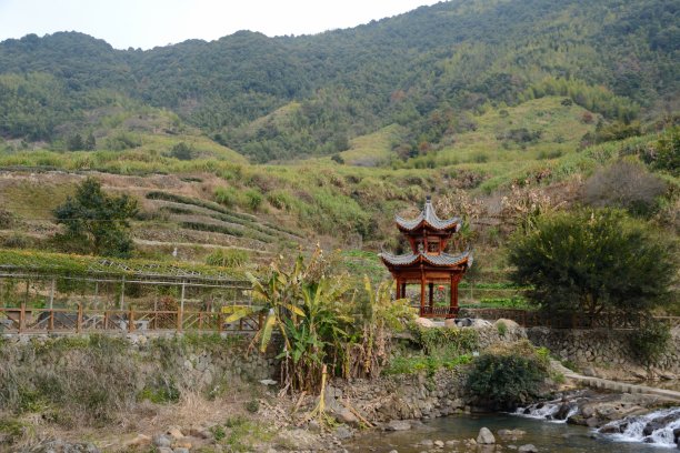 沿江江景