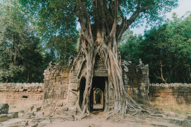 柬埔寨,吴哥窟