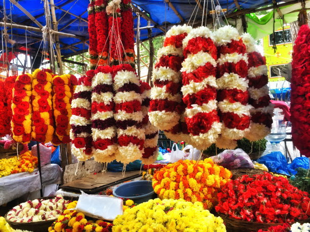 印度鲜花市场