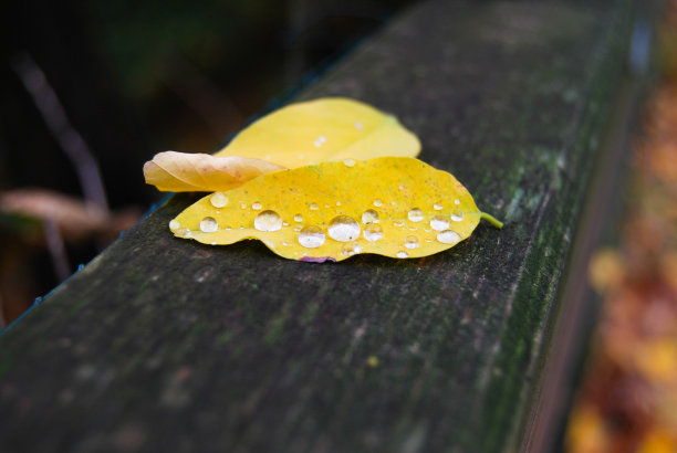 雨中城墙