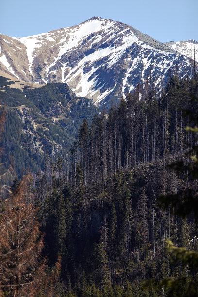 西塔特拉山