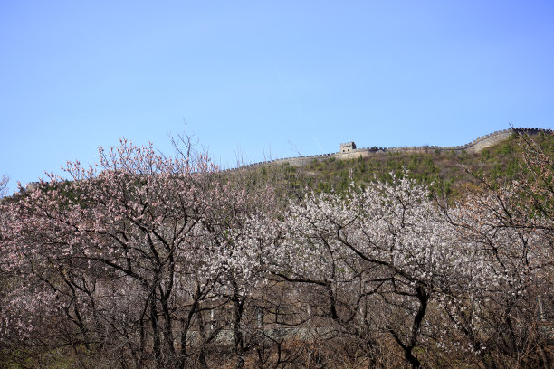 金山岭风光