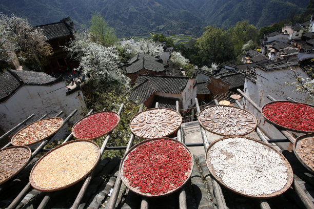 江西婺源山村风景