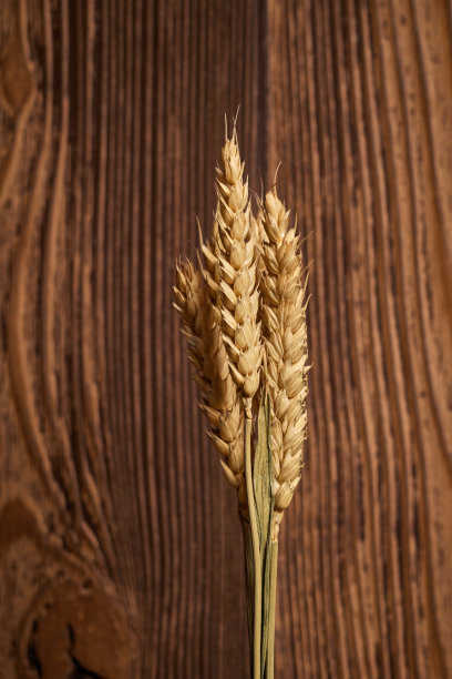 小麦秸秆切菜板