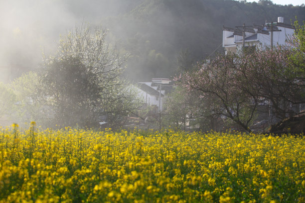 文明新农村