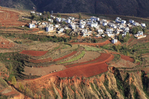 乡村麦地