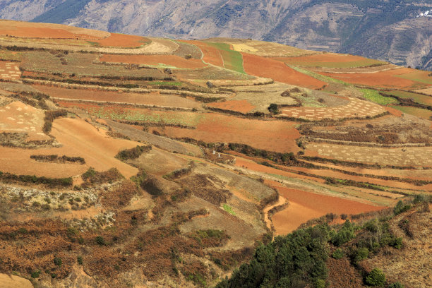 山村农家