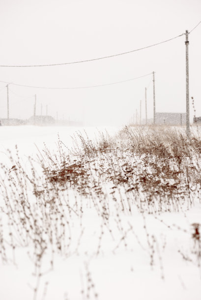 狂风暴雪