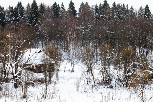 冬季雪原民居森林