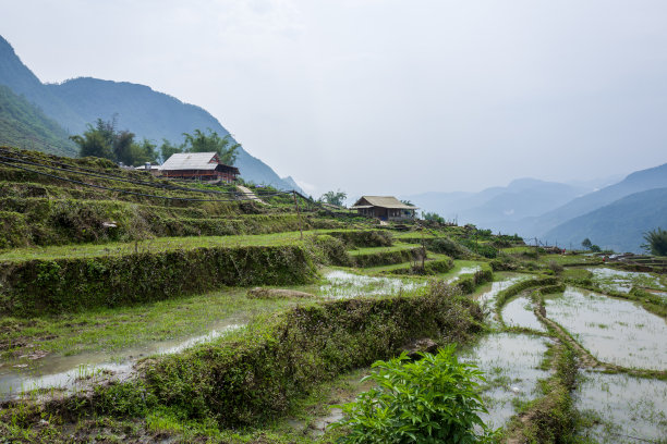 乡村田野