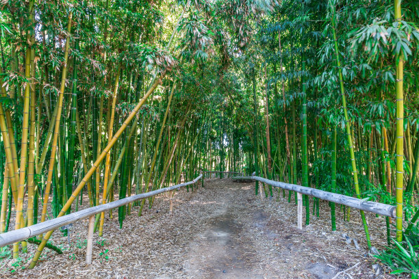 风水景观