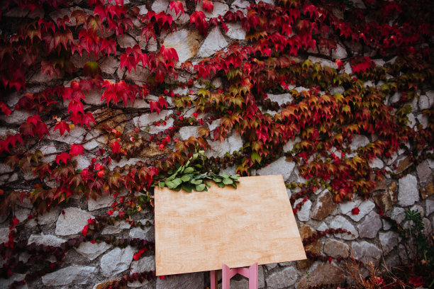 树叶嫩叶木板背景海报素材