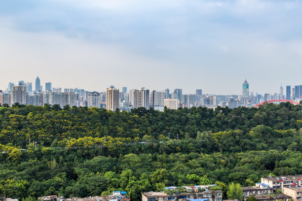 武汉城市地标建筑全景图
