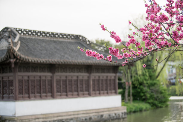 扬州市花