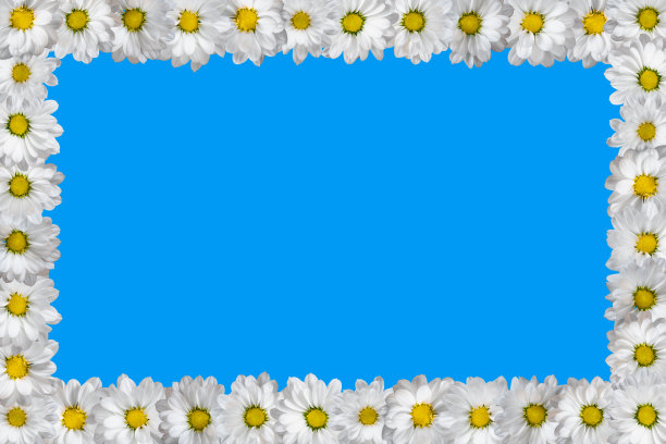 蓝底花卉插画背景
