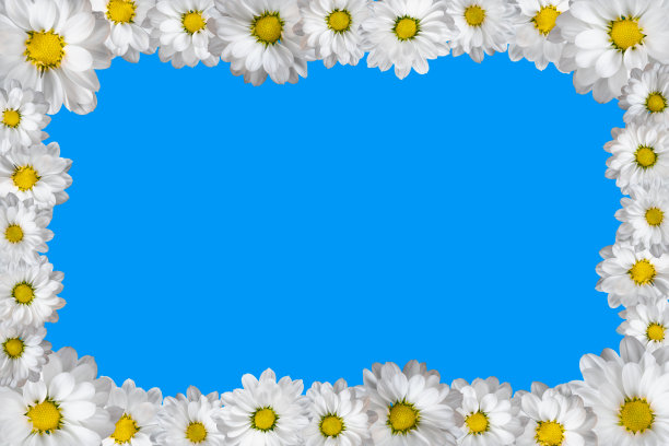 蓝底花卉插画背景