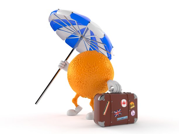 橙子手提箱