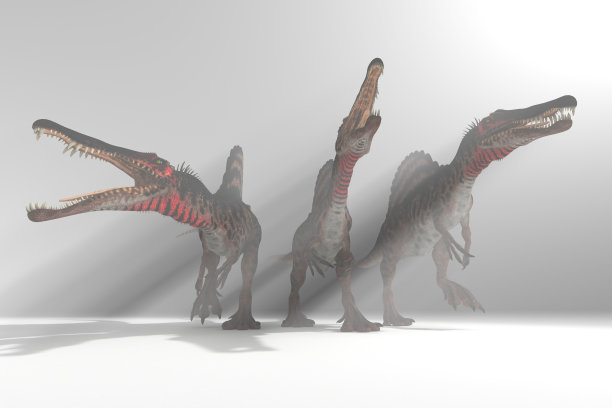 三只小恐龙