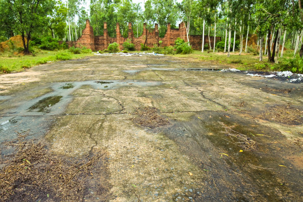 水稻基地