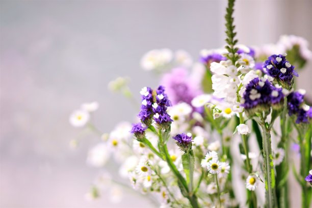 花卉设计薰衣草紫色勿忘我