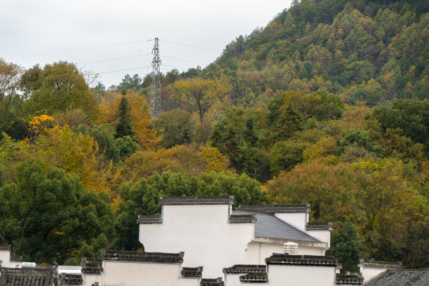 白色简约中国风地产