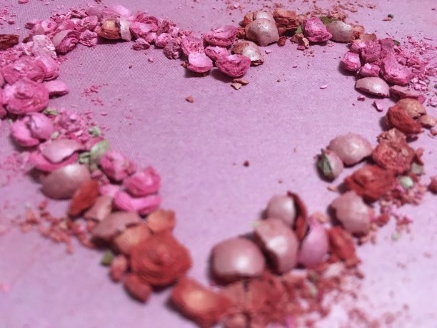 心型人类心脏图片