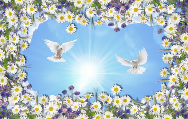 蓝天白鸽花朵吊顶背景
