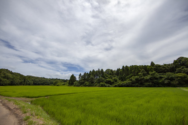 日本稻田灌溉设施