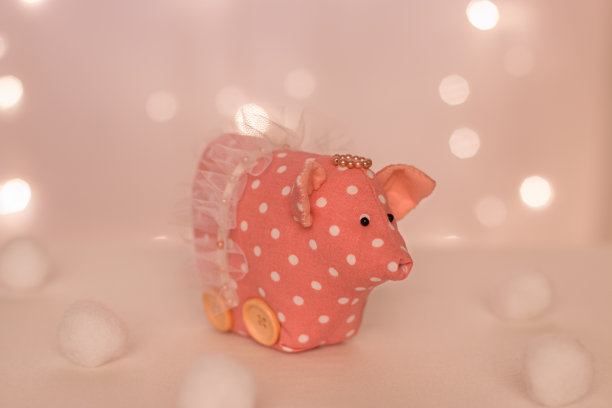 猪年礼盒包装设计