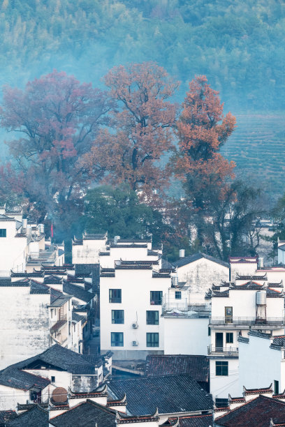 婺源旅游婺源印象