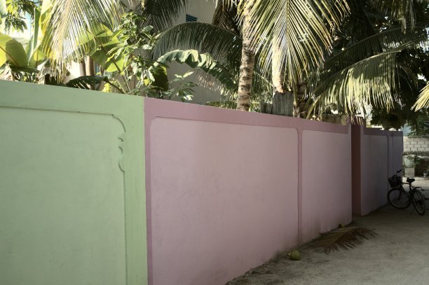 椰子水果墙面背景底纹