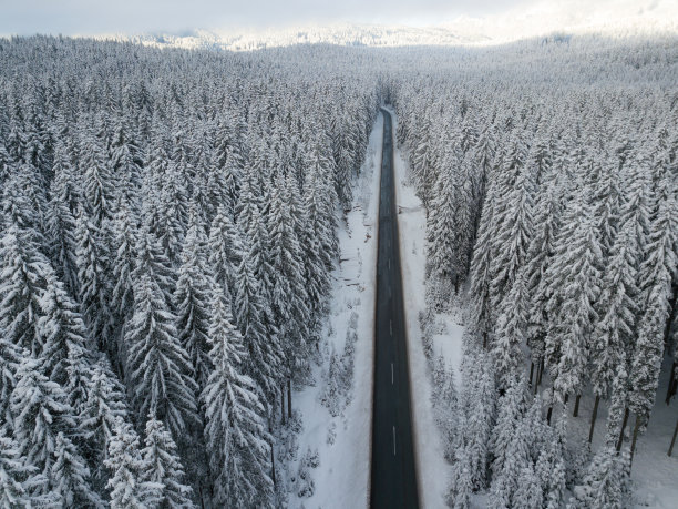 雪原树林公路美景