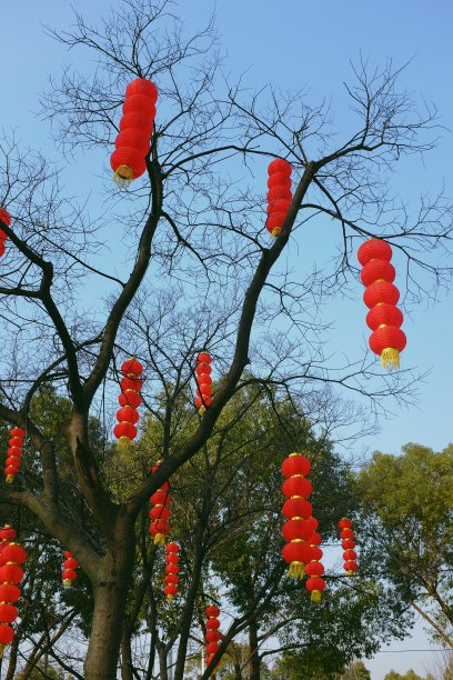 欢度新春新年喜庆背景