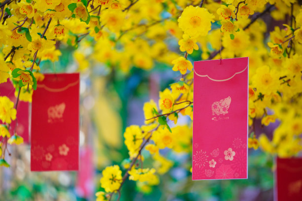 春节包装新年礼品盒