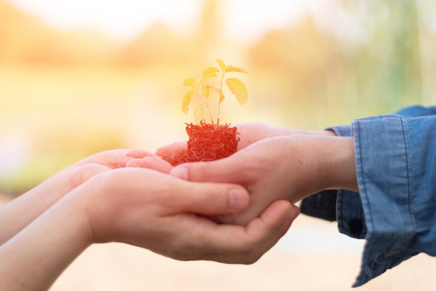 世界防止荒漠化和干旱日