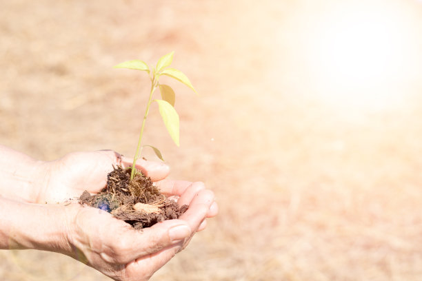 世界防止荒漠化和干旱日