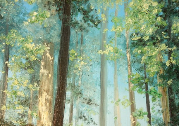 3d森林画