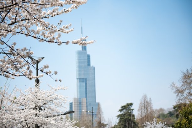 南京城市地标性建筑图