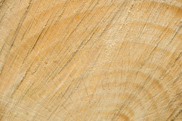 树纹镂空板