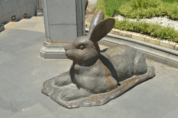 兔兔佛祖如来佛