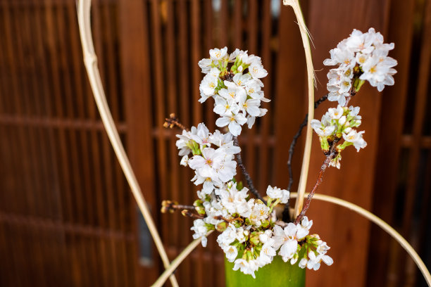 移门花纹