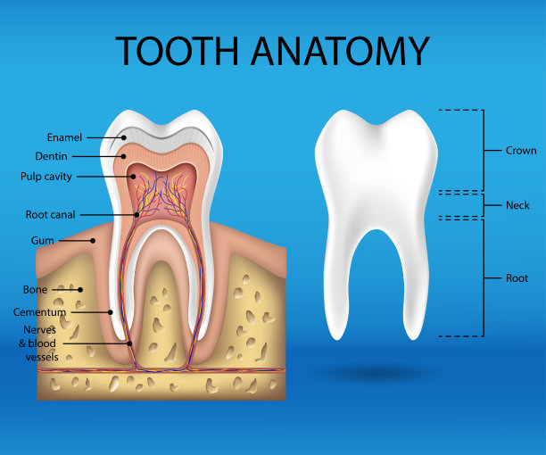 口腔健康牙齿护理海报素材