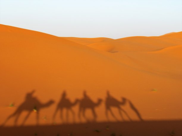 骆驼土地荒漠化