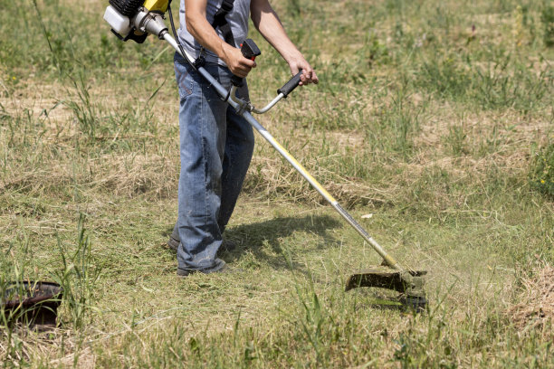 园林工人在修剪草坪