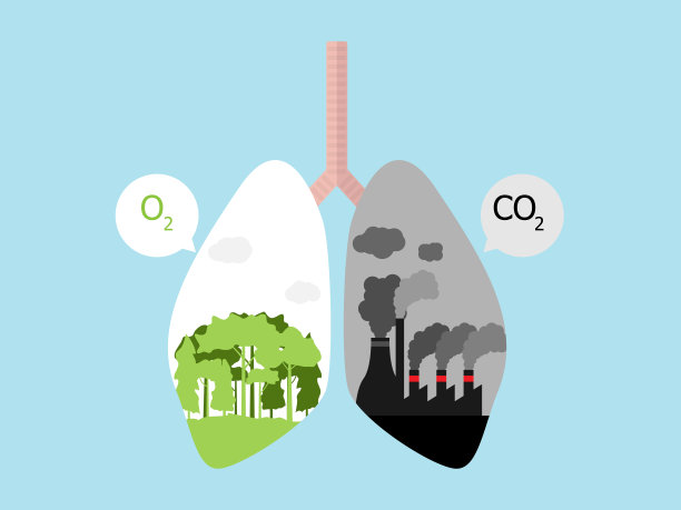 都市绿肺