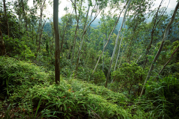 深圳野外